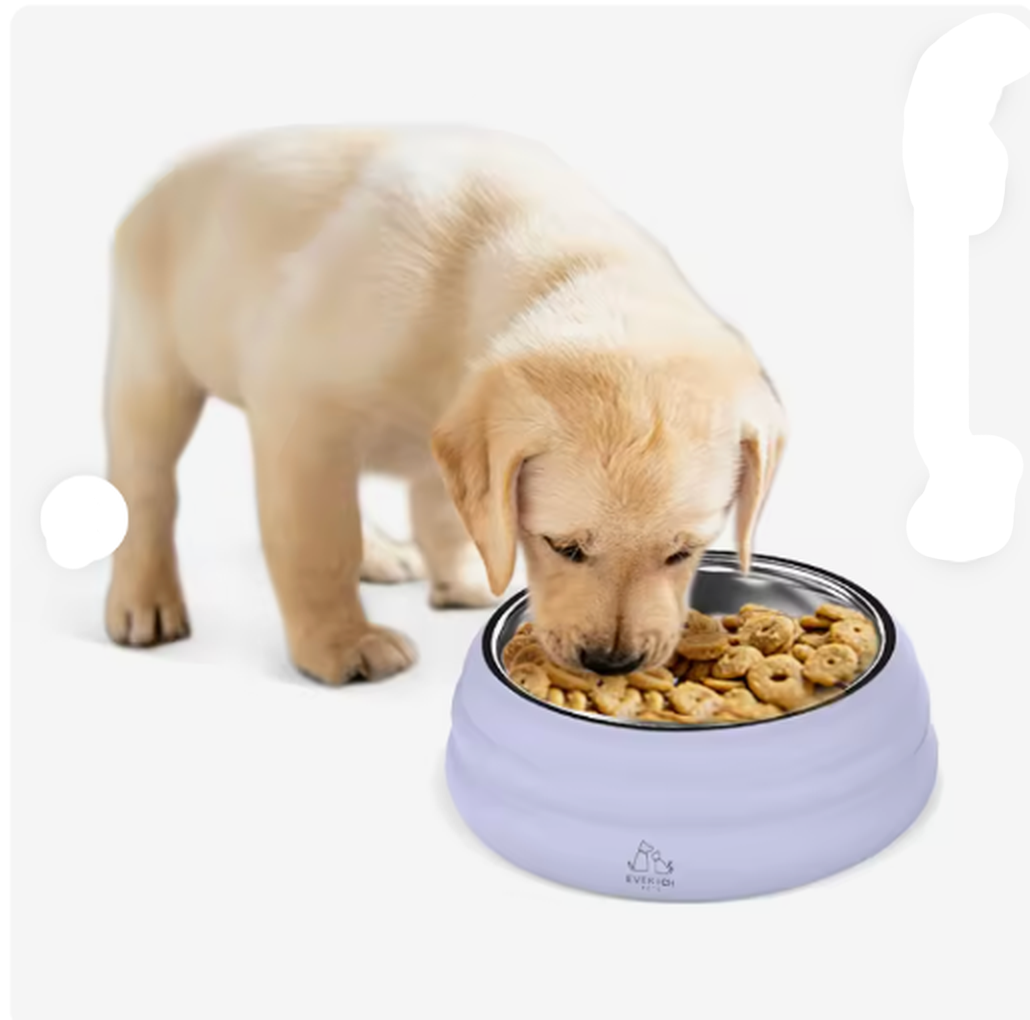 Wanderpaw insulated dog bowl filled with water, side view